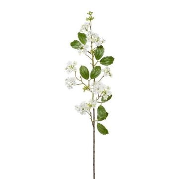 Decorative branch Viburnum WANDYM, white, 33"/85cm Decorative branch Viburnum WANDYM, white, 33"/85cm