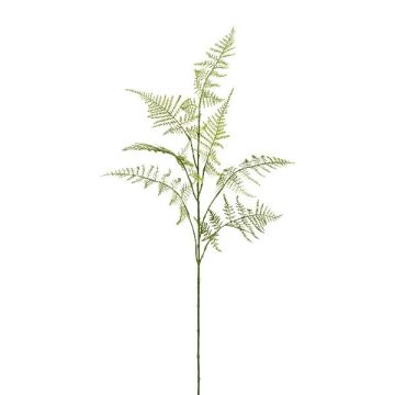Artificial branch Asparagus Plumosus PLAVIN, green, 33"/85cm