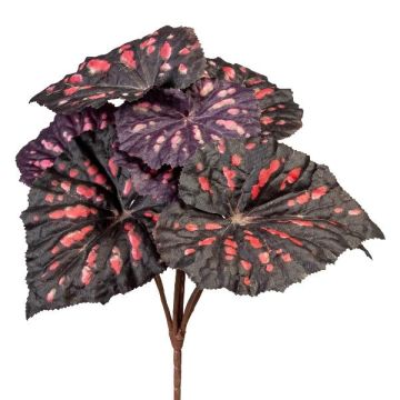 Artificial plant Begonia rex MELDINA, spike, black-red, 10"/25cm Artificial plant Begonia rex MELDINA, spike, black-red, 10"/25cm