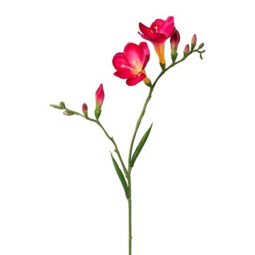 Decorative branch Freesia FONDYL, fuchsia, 28"/70cm Decorative branch Freesia FONDYL, fuchsia, 28"/70cm
