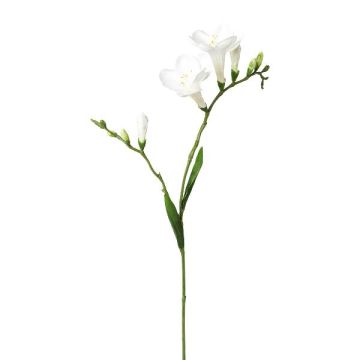 Decorative branch Freesia FONDYL, white, 28"/70cm Decorative branch Freesia FONDYL, white, 28"/70cm