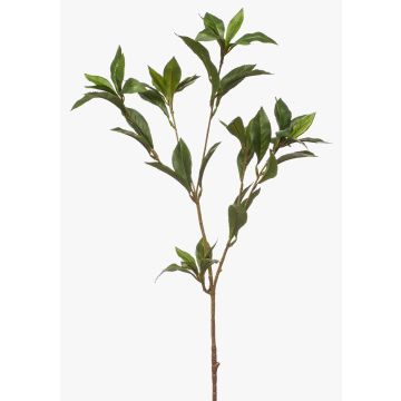 Decorative laurel branch ITRELK, green, 35"/90cm Decorative laurel branch ITRELK, green, 35"/90cm
