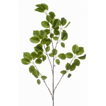 Decorative Schefflera branch KRUVEN, green, 4ft/120cm Decorative Schefflera branch KRUVEN, green, 4ft/120cm