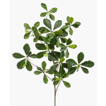 Artificial Bucida buceras branch TANIESA, flame-retardant, 26"/65cm Artificial Bucida buceras branch TANIESA, flame-retardant, 26"/65cm