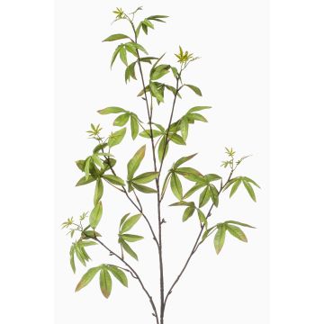 Decorative finger aralia branch MOLFER, green, 4ft/115cm Decorative finger aralia branch MOLFER, green, 4ft/115cm