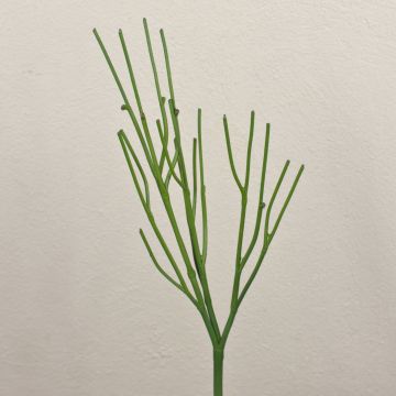 Artificial euphorbia BENEDETTO, green, 20"/50cm