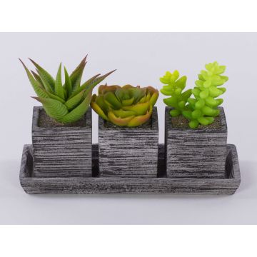Artificial succulent arrangement SYLVIA in decorative pots, green, 7.5"x3"x4.3"/19x7,5x11cm Artificial succulent arrangement SYLVIA in decorative pots, green, 7.5"x3"x4.3"/19x7,5x11cm