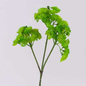 Artificial Sedum branch JAROH, green, 14"/35cm