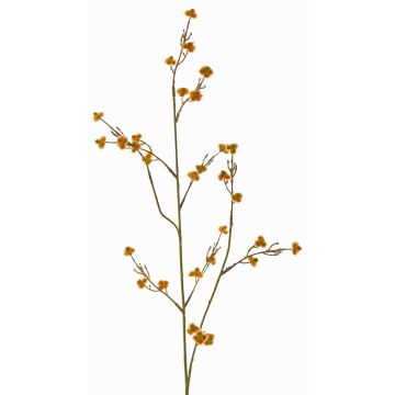Artificial Stirlingia latifolia COLLAN, orange-green, 30"/75cm, Ø0.4"/1cm Artificial Stirlingia latifolia COLLAN, orange-green, 30"/75cm, Ø0.4"/1cm