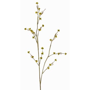 Artificial Stirlingia latifolia COLLAN, yellow-green, 30"/75cm, Ø0.4"/1cm Artificial Stirlingia latifolia COLLAN, yellow-green, 30"/75cm, Ø0.4"/1cm