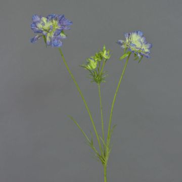 Artificial scabiosa ANDIA, blue-purple, 31"/80cm, Ø3.1"-4"/8-10cm