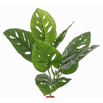 Artificial Philodendron Monstera Deliciosa SOANN, spike, 12"/30cm Artificial Philodendron Monstera Deliciosa SOANN, spike, 12"/30cm