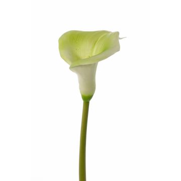 Artificial calla MIRAC, green-white, 30"/75cm, 5.1"x6"/13x15cm Artificial calla MIRAC, green-white, 30"/75cm, 5.1"x6"/13x15cm