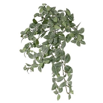 Artificial fittonia NALEDI, spike, crossdoor, flame retardant, green-white, 20"/50cm