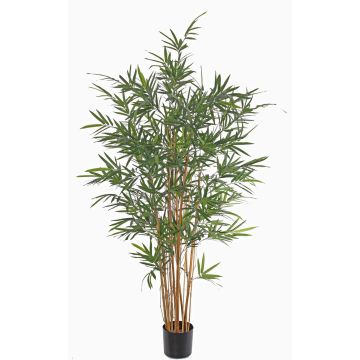 Artificial bamboo LUCINE, real stems, crossdoor, 6ft/170cm Artificial bamboo LUCINE, real stems, crossdoor, 6ft/170cm