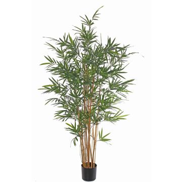 Artificial bamboo LUCINE, real stems, crossdoor, 6ft/170cm Artificial bamboo LUCINE, real stems, crossdoor, 6ft/170cm