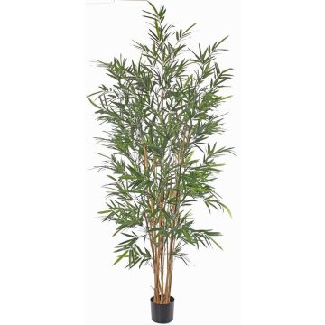 Artificial bamboo LUCINE, real stem, crossdoor, 6ft/195cm