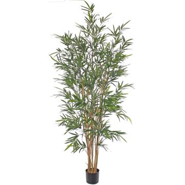 Artificial bamboo LUCINE, real stem, crossdoor, 6ft/195cm
