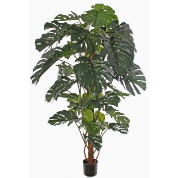 Artificial Philodendron Monstera Deliciosa CHORA, 6ft/190cm Artificial Philodendron Monstera Deliciosa CHORA, 6ft/190cm