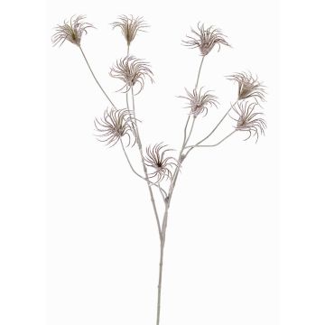 Artificial clematis seed pod HARWAY, dark brown, 3ft/105cm, Ø2.8"/7cm
