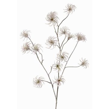 Artificial Clematis seed pod HARWAY, brown, 3ft/105cm, Ø2.8"/7cm