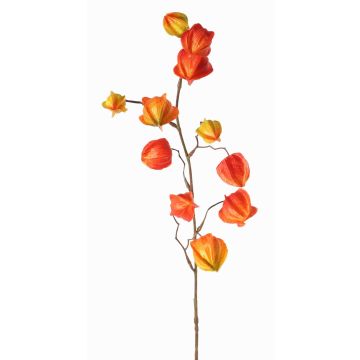 Artificial Physalis spray PERSEI with fruits, orange, 31"/80cm Artificial Physalis spray PERSEI with fruits, orange, 31"/80cm