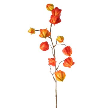 Artificial Physalis spray PERSEI with fruits, orange, 31"/80cm Artificial Physalis spray PERSEI with fruits, orange, 31"/80cm