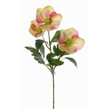 Artificial Christmas rose AKRAB, green-fuchsia, 18"/45cm, Ø2"-3.1"/5-8cm