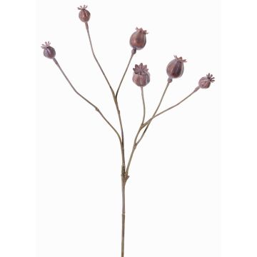 Artificial poppy capsules ASUMAN, brown, 28"/70cm, Ø0.8"-1.2"/2-3cm Artificial poppy capsules ASUMAN, brown, 28"/70cm, Ø0.8"-1.2"/2-3cm