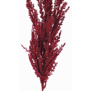 Artificial branch pampas grass panicle THEMBA, burgundy, 4ft/115cm Artificial branch pampas grass panicle THEMBA, burgundy, 4ft/115cm