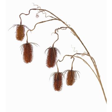 Artificial wild teasel LORCAN, brown-red, 4ft/120cm, Ø2.4"-3.1"/6-8cm Artificial wild teasel LORCAN, brown-red, 4ft/120cm, Ø2.4"-3.1"/6-8cm