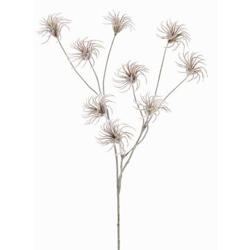 Artificial Clematis seed pod HARWAY, brown, 28"/70cm, Ø2.8"/7cm