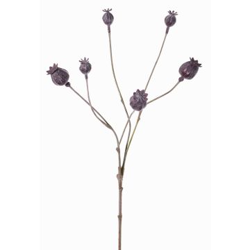 Artificial poppy capsules ASUMAN, dark brown, 28"/70cm, Ø0.8"-1.2"/2-3cm Artificial poppy capsules ASUMAN, dark brown, 28"/70cm, Ø0.8"-1.2"/2-3cm