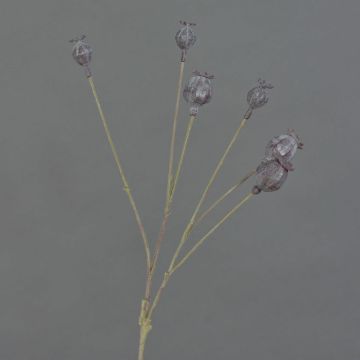 Artificial poppy capsules ASUMAN, dark brown, 28"/70cm Artificial poppy capsules ASUMAN, dark brown, 28"/70cm