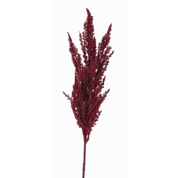 Artificial branch pampas grass panicle THEMBA, burgundy, 31"/80cm Artificial branch pampas grass panicle THEMBA, burgundy, 31"/80cm