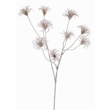 Artificial Clematis seed pod HARWAY, dark brown, 28"/70cm, Ø2.8"/7cm
