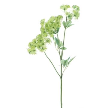 Decorative sprig of wild carrot FLAWA, light green, 26"/65cm Decorative sprig of wild carrot FLAWA, light green, 26"/65cm