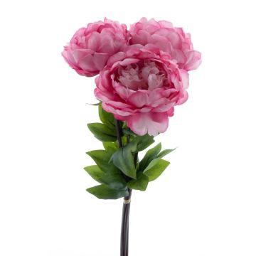 Artificial flower Peony bunch DUDIL, pink-fuchsia, 20"/50cm