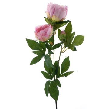Decorative peony branch THEMIA, pink, 26"/65cm Decorative peony branch THEMIA, pink, 26"/65cm