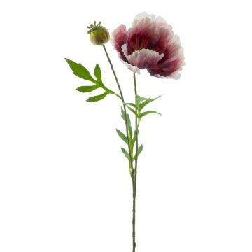 Decorative poppy EDESSA, fuchsia-white, 31"/80cm Decorative poppy EDESSA, fuchsia-white, 31"/80cm