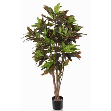 Artificial croton SHAULA, natural stem, green-red, 5ft/150cm Artificial croton SHAULA, natural stem, green-red, 5ft/150cm