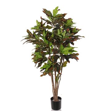 Artificial croton SHAULA, natural stem, green-red, 5ft/150cm Artificial croton SHAULA, natural stem, green-red, 5ft/150cm