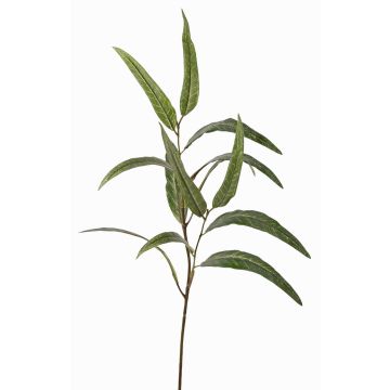 Artificial eucalyptus spray SEMA, green, 28"/70cm Artificial eucalyptus spray SEMA, green, 28"/70cm