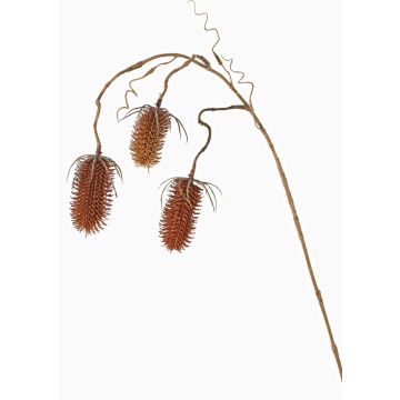 Artificial wild teasel LORCAN, brown-red, 35"/90cm, Ø2.4"-3.1"/6-8cm Artificial wild teasel LORCAN, brown-red, 35"/90cm, Ø2.4"-3.1"/6-8cm