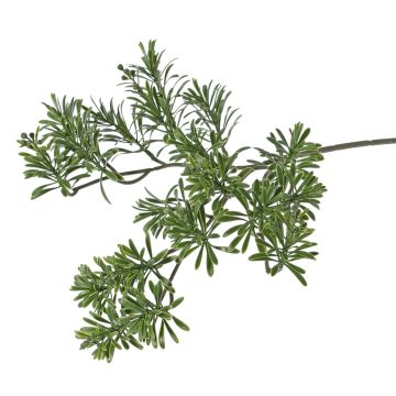 Artificial crossostephium spray BILBO, crossdoor, green, 18"/45cm Artificial crossostephium spray BILBO, crossdoor, green, 18"/45cm