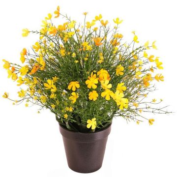 Impatiens decorative plant GISINDA in a decorative pot, yellow-orange, 16"/40cm Impatiens decorative plant GISINDA in a decorative pot, yellow-orange, 16"/40cm