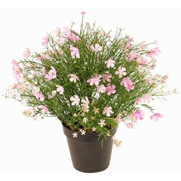 Impatiens decorative plant GISINDA in decorative pot, pink-cream, 16"/40cm Impatiens decorative plant GISINDA in decorative pot, pink-cream, 16"/40cm