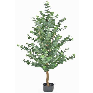 Artificial eucalyptus tree WEONFYN, artificial trunk, green, 6ft/180cm Artificial eucalyptus tree WEONFYN, artificial trunk, green, 6ft/180cm