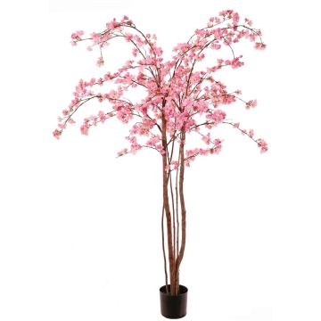 Artificial cherry blossom tree PONFYN with blossoms, natural trunks, pink, 6ft/175cm Artificial cherry blossom tree PONFYN with blossoms, natural trunks, pink, 6ft/175cm