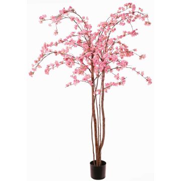 Artificial cherry blossom tree PONFYN with blossoms, natural trunks, pink, 6ft/175cm Artificial cherry blossom tree PONFYN with blossoms, natural trunks, pink, 6ft/175cm